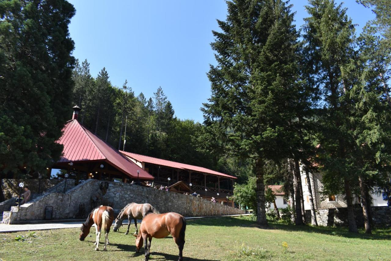 Hotel Korab Trnica Экстерьер фото